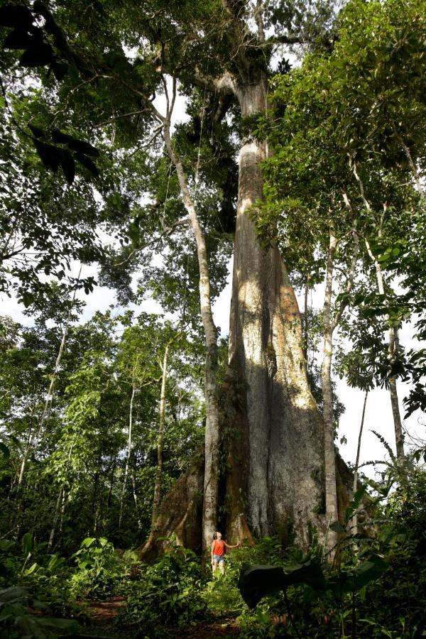 Misahualli Amazon Lodge Extérieur photo