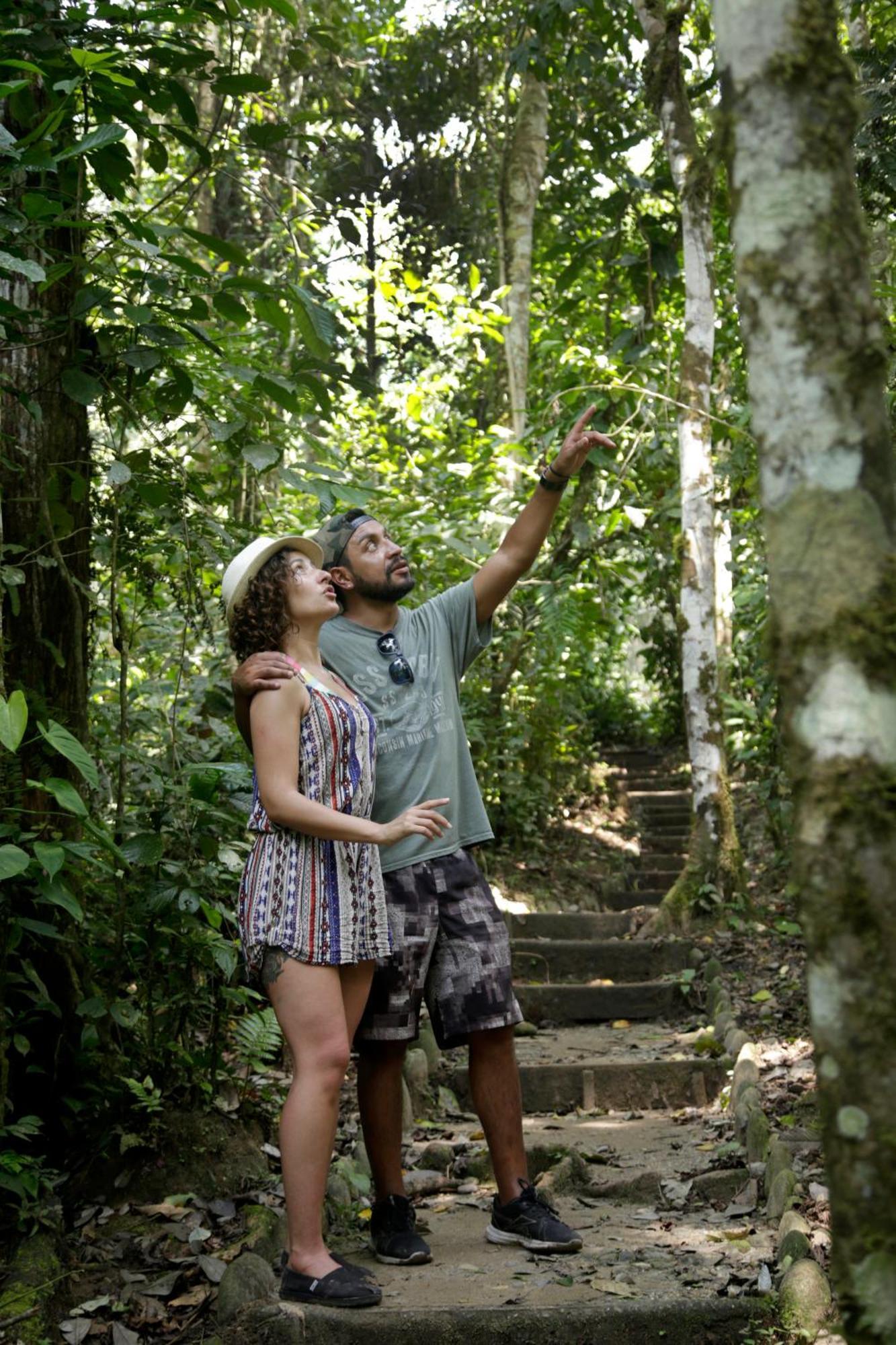 Misahualli Amazon Lodge Extérieur photo