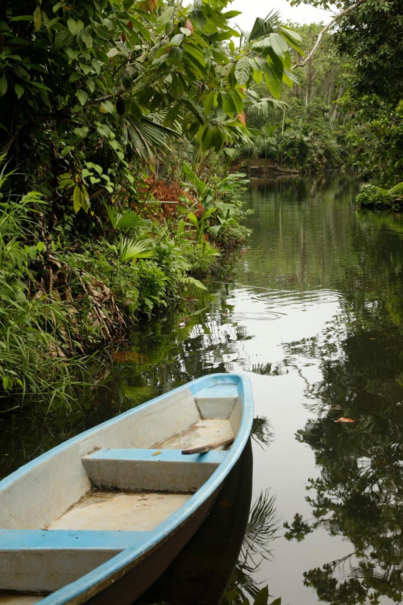 Misahualli Amazon Lodge Extérieur photo